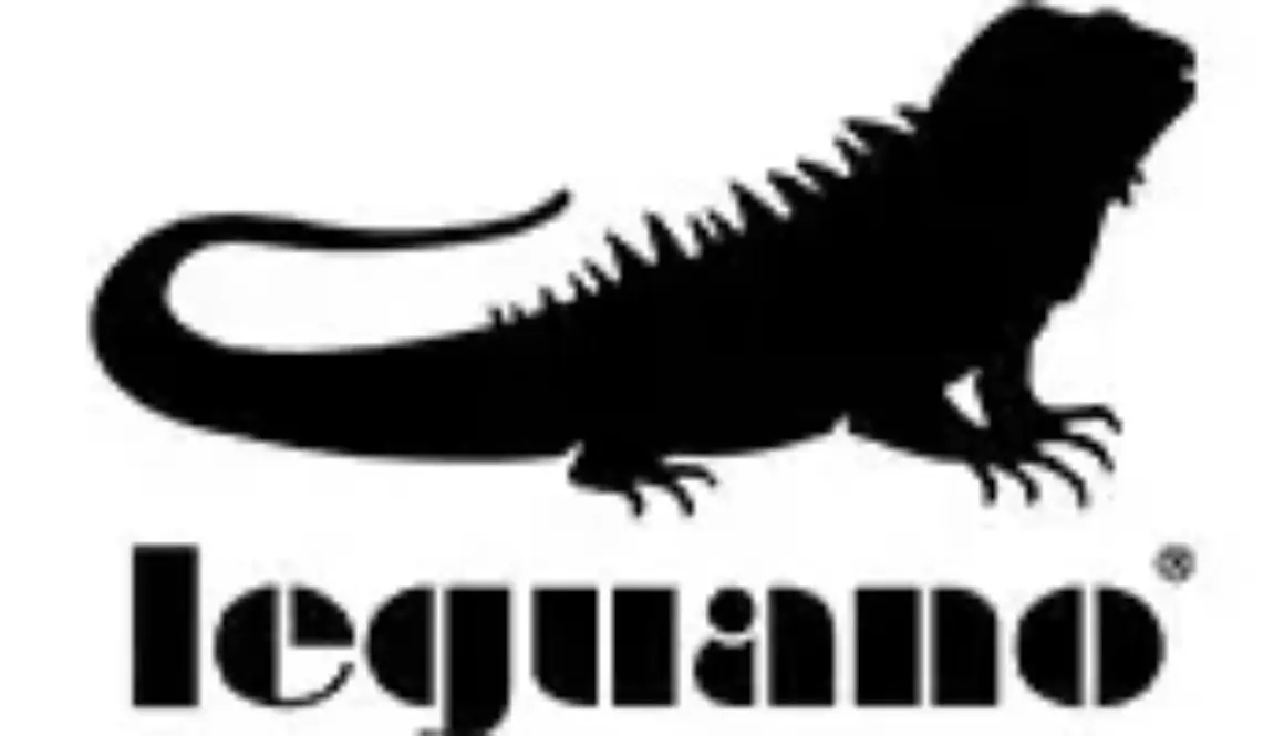Leguano Schuhhaus Salge