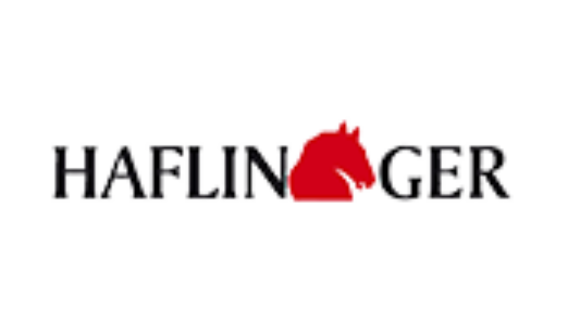 Haflinger Schuhhaus Salge